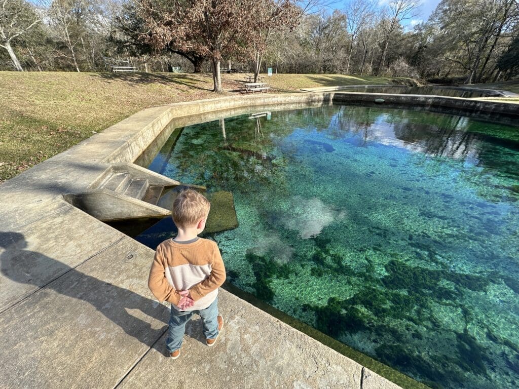 Child looking into spring-fed pool with blue water. Blue Springs State Park, AL