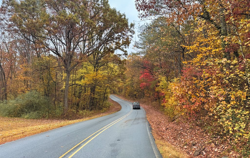 Truck driving through fall foliage on the Washington Valley Road in Springville, AL.