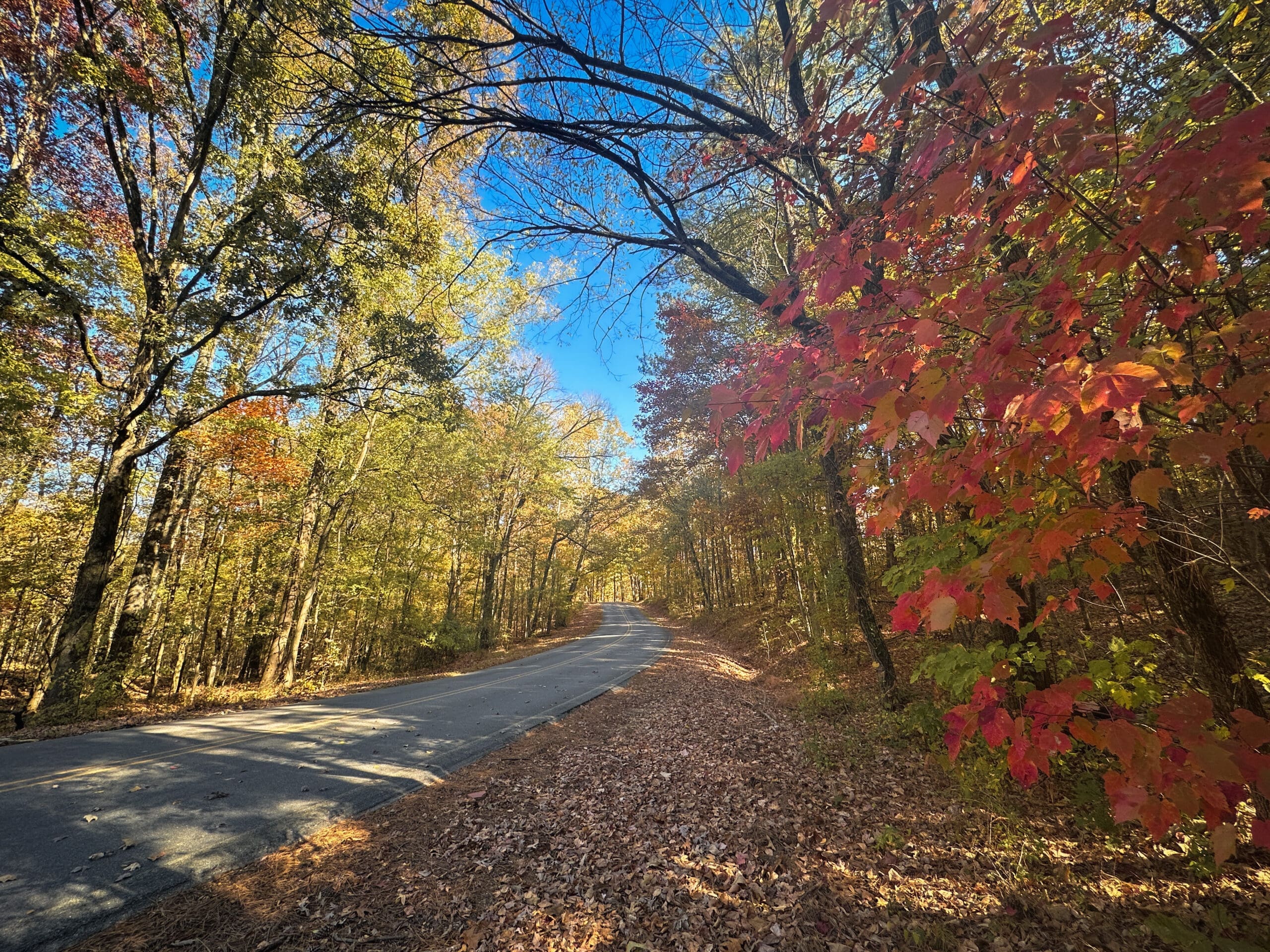 The Washington Valley Road in Springville, AL during the fall colors.