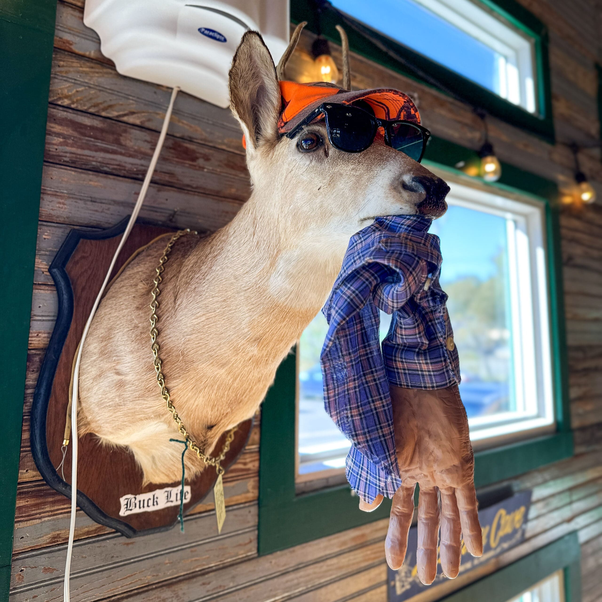 A taxidermy dear head with sunglasses that is holding a severed mannequin arm in its mouth.