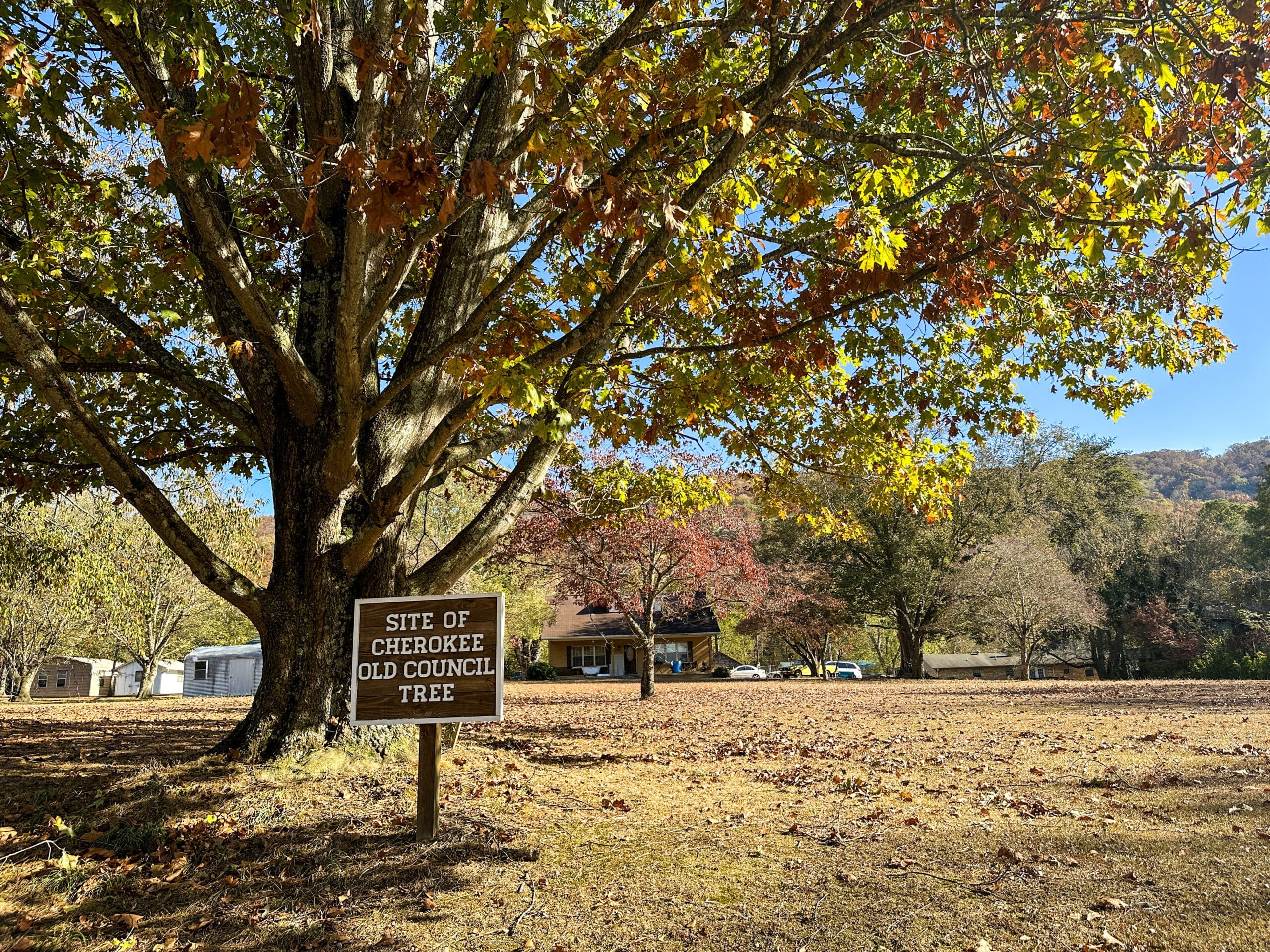 A sign reading "Site of Cherokee Council Tree" sits under a tree. A few houses visible in the distant background.